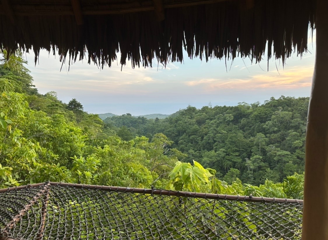 Rainforest view from La Canopee in Siquijor